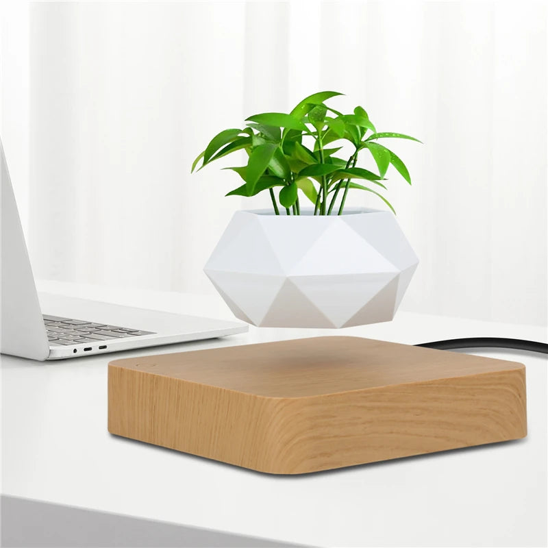 Floating Potted Plant